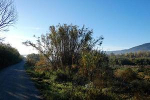 moderno ponte spanning un' fiume, un ingegneria feat foto