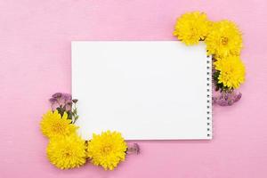 bloc notes, spazio per Appunti, bianca foglio con giallo e lilla crisantemi, telaio di fiori su rosa sfondo. vacanza, compleanno, madri, internazionale Da donna giorno. copia spazio foto