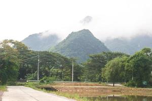 scenario e mattina nebbia nel meridionale Tailandia foto