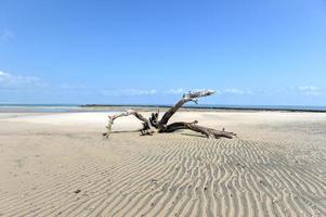 magaruque isola - mozambico foto