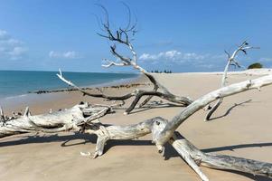 magaruque isola - mozambico foto