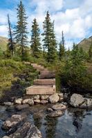 natura paesaggio nel alaska foto