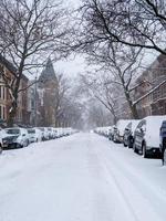 neve a brooklyn foto