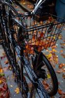 autunno le foglie e bicicletta foto