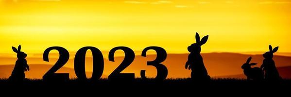 contento nuovo anno 2023 coniglio guardare a il crescente sole su nuovo anni mattina foto