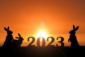 contento nuovo anno 2023 sfondo. sfondo contento nuovo anno 2023. coniglio aspetta per il sole su un' nuovo mattina. foto