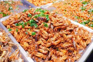 condito fritte insetti strada cibo è molto popolare nel Tailandia. foto
