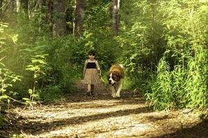 ragazza a piedi con sua cane nel un' foresta. foto