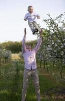 contento padre con un' poco figlio nel un' fioritura giardino. di papà giorno. gettare il bambino su. foto