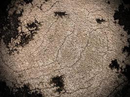 senza soluzione di continuità struttura di vecchio cemento parete un' ruvido superficie, con spazio per testo, per un' sfondo. foto