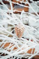 oro smerigliato pigna Natale decorazione foto