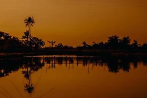 silhouette Noce di cocco acqua riflessione d'oro leggero effetti bianca equilibrio Basso otturatore velocità buio arte stile foto