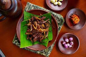 fritte cavalletta o belalang goreng è tradizionale cibo a partire dal sud-est Asia, servito con Sambal, cipolla, aglio, chili su legna sfondo foto