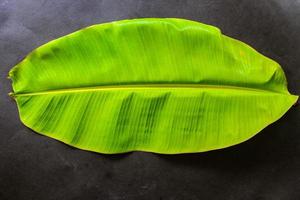 fresco Banana verde foglia isolato su nero sfondo foto