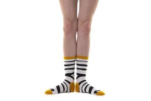 femmina gambe indossare banda calzini. foto