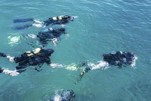 superiore Visualizza di autorespiratore tuffatore nuoto sotto acqua e esamina il fondale marino. autorespiratore tuffatore bolle In arrivo a partire dal parte inferiore per superficie. foto