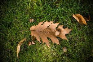 nozze anelli nel mano. Due nozze anelli su il pavimento con contrasto nozze anelli su pavimento, su terra, su pianoforte, nel mano su erba o un' pietre, foto