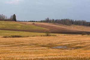 autunno paesaggi nel Lettonia foto