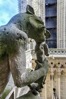 il famoso notre dama de Parigi, Cattedrale nel Francia. foto