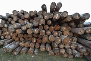 siberiano di legno logs foto