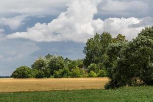 rurale estate paesaggi nel baltico stati foto