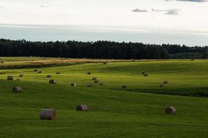 rurale estate paesaggi nel baltico stati foto