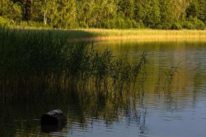 estate paesaggi nel Lettonia foto