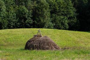 estate paesaggi nel Lettonia foto