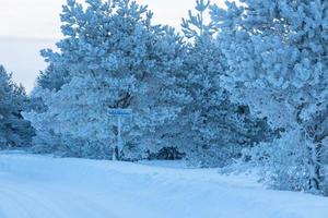 inverno paesaggi nel Estonia foto