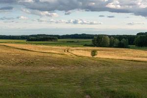 rurale estate paesaggi nel baltico stati foto