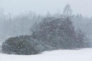 lettone rurale villaggio paesaggio nel latgale nel inverno foto