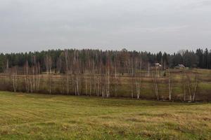 autunno paesaggi nel Lettonia foto