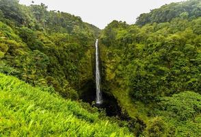 akaka cascate Hawaii, grande isola foto