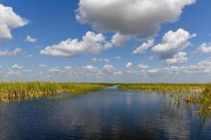 Florida zone umide nel il Everglades nazionale parco nel Stati Uniti d'America. popolare posto per turisti, selvaggio natura e animali. foto