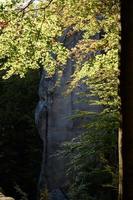 colomba rocce nel ucraino occidentale foreste, faggio foreste e grande pietra scogliere. foto