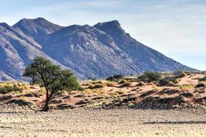 deserto paesaggio - namibrand, namibia foto