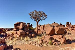 del gigante terreno di gioco - namibia foto