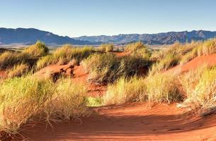 deserto paesaggio - namibrand, namibia foto