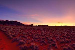 deserto paesaggio - namibrand, namibia foto