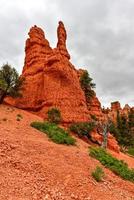 rosso canyon a dixie nazionale foresta nel Utah, unito stati. foto