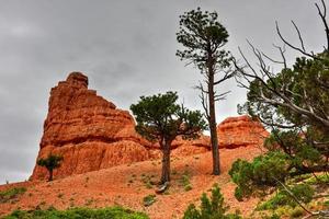 rosso canyon a dixie nazionale foresta nel Utah, unito stati. foto