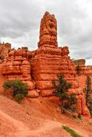 rosso canyon a dixie nazionale foresta nel Utah, unito stati. foto