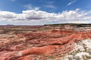 Lacey punto nel il pietrificato foresta nazionale parco nel Arizona. foto