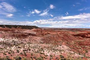 tiponi punto nel il pietrificato foresta nazionale parco nel Arizona. foto