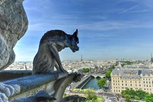 il Parigi orizzonte a partire dal il notre dama de Parigi, Cattedrale nel Francia. foto