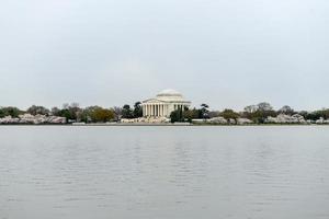 ciliegia fiori a il di marea bacino e Jefferson memoriale durante primavera nel Washington, dc. foto