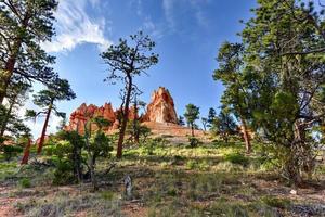 il anfiteatro nel bryce canyon nazionale parco nel Utah, unito stati. foto