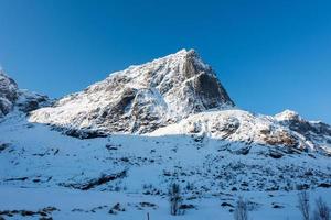 aumentare di bo con montagne riflettendo nel il acqua. nel il lofoten isole, Norvegia nel il inverno. foto