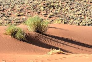 deserto paesaggio - namibrand, namibia foto