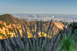 panoramico Visualizza di il orizzonte nel los angeles centro edifici nel California. foto